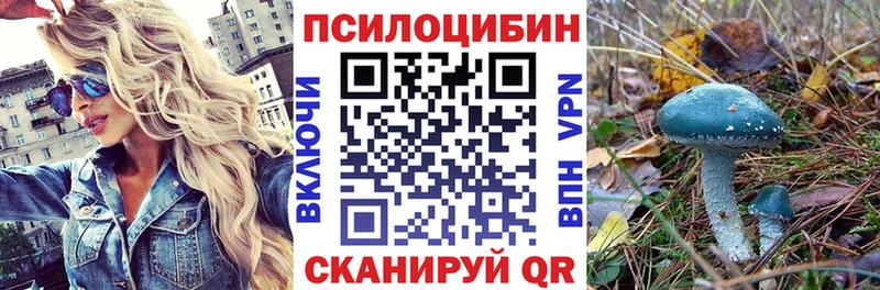 мега как войти  Рославль  Псилоцибиновые грибы GOLDEN TEACHER 